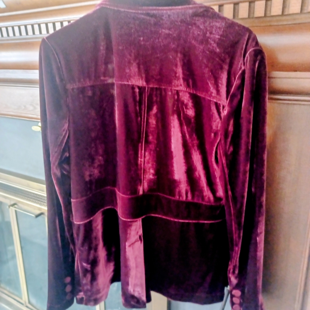 Joie Velvet Burgundy Blazer - Picture 4 of 7